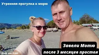 Утренняя прогулка к морю!