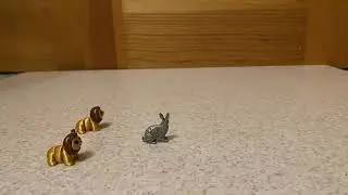 rabbit vs lion chase