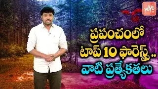 ప్రపంచంలో టాప్&zwnj; 10 ఫారెస్ట్స్ | Amazon Rainforest, Kango Rainforest, Daintree | YOYO TV Channel