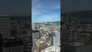 Amazing view of San Fransisco financial district #travel #californa #usa