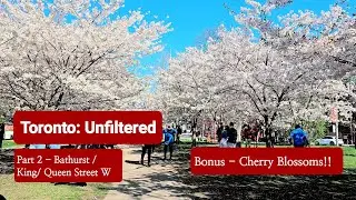 Toronto Vlog | Toronto Walking tour 4K | Bathurst /King St W /Queen St W /Trinity Bellwoods Park