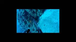 Spearfishing dusky grouper - &rho;&omicron;&phi;ό&sigmaf;.