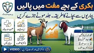 Detailed video based on complete care of a baby goat after birth