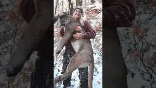 Охота на горного льва и его поедание!