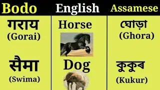 learn Bodo And Assamese Domestic animals name through English 😍😍