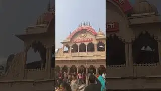 Laadli Radha Rani Barsana nandgaon vrindavan #shorts #devotional #love #mathura #yoyogster