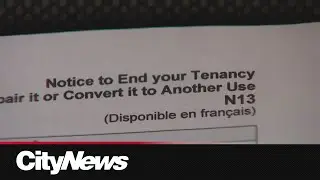 Renoviction bylaw to be developed in Toronto after committee approval