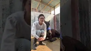 鲸鱼🔥来我的直播间云养马💕2026 01 17 13 27 26🎬