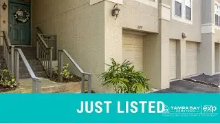 609 Tropical Breeze Way, Tampa, FL, 33602