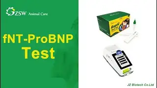 〖fNT ProBNP〗 Video Operation Demonstration - JZ Biotech #vet #veterinary