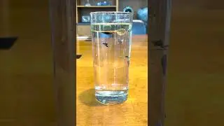 Kitchen Science: Underwater Fireworks #shorts