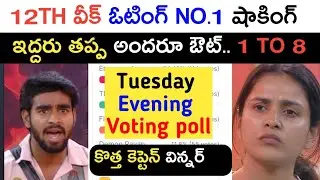 Bigg Boss season 9 telugu 12th week captain and voting poll report latest updates | Kiran Rao | #Bb9