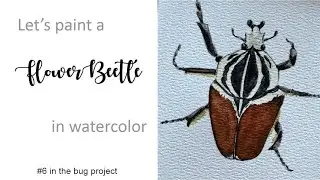 Flower Beetle