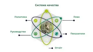 Система качества, основные документы. Основы фармаконадзора.