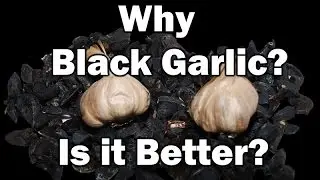 BLACK GARLIC Benefit cancer fighting foods natural medicine organic cuisine health unique vegetarian