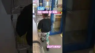 Have you shopped at @Lidl  ? They have shopping carts for kids to tag along!