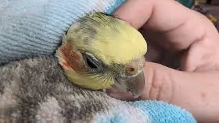 After bath cuddles with Wally