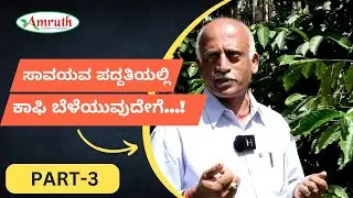 Ultimate Guide to Growing Organic Coffee Beans | ಸಾವಯವ ಪದ್ಧತಿಯಲ್ಲಿ ಕಾಫಿ ಬೆಳೆ| G S Mahabala