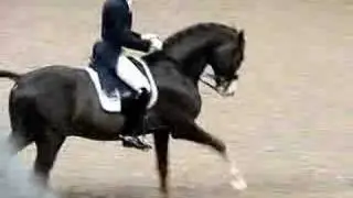 Jan Brink Freestyle Canter World Cup Las Vegas