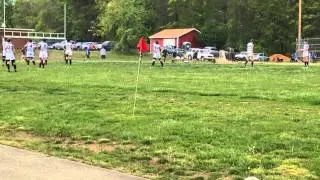 Holland's Rugby Dog