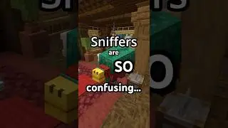 Sniffers are SO confusing...