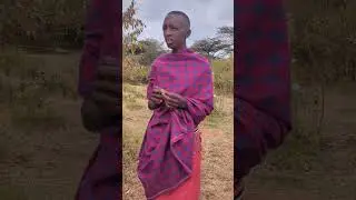 Orange Leaf Croton Plant used by Maasai for mosquito repellent, fire wood, and making tools. #maasai