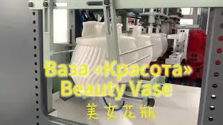Hydraulic automatic blow molding machine for Plastic vase