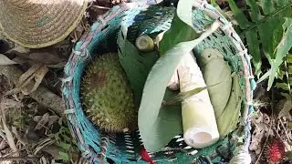 Nyari sayur liar kami bertiga Terpisah lokasi 😭, ikuti keseruan kami