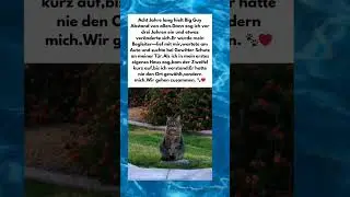 Er w&auml;hlte nicht den Ort &ndash; er w&auml;hlte mich 🐾