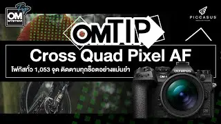 OMTips EP.9 ไม่พลาดทุกจังหวะสำคัญ Cross Quad Pixel AF 1,053 ใน OM System OM-1