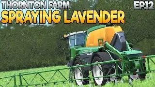 Thornton Farm - Farming Simulator 17 -  Ep.12 (with Wheel Cam)