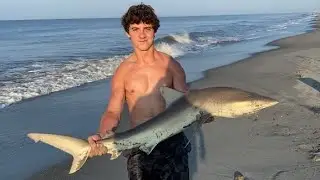 SHARK FISHING from the BEACH! (North Carolina)