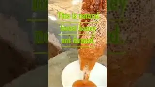 South Indian Best quality little bee 🐝 honey 🍯