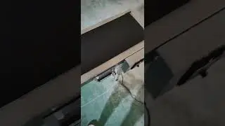 conveyor with stop function sensor