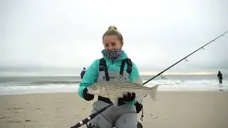 Striped Bass Off Sandy Beach Tagging for Gray Fish Tag