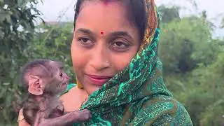Mother gives her New born baby langur to monalisa nicely.