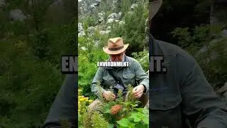 Unlocking Survival Skills in Rugged Terrain
