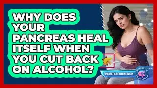 Why Does Your Pancreas Heal Itself When You Cut Back On Alcohol? - Pancreatic Health Network