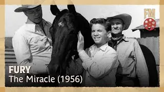 Fury (1956) | Season 1 | Episode 20 | The Miracle | Peter Graves