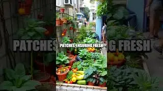 Resourceful Budget Living Strategies from Around the World