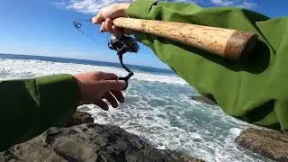 Fishing for Red Tail Surf Perch on the West Coast of Vancouver Island