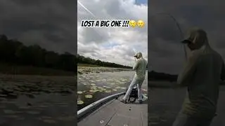 Missed this giant bass&hellip;This one was pulling drag too 😭😭 #bassfishing #thebigonethatgotaway