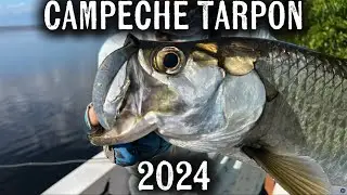 Tarpon Fly Fishing - Campeche, Mexico