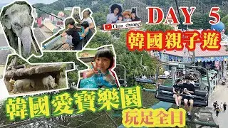 【2023韓國首爾7天親子遊】DAY 5｜愛寶樂園｜新村食堂 東大門店｜明洞小食街