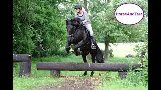 Friesian horse does hunt fun ride with optional jumps Part 1