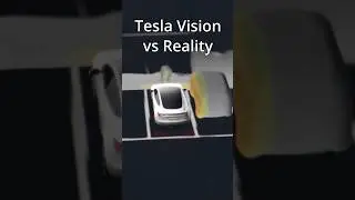 Tesla Vision VS Reality