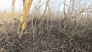 Part 1 of scouting public land buy Cage Rage Outdoors