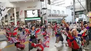 日本九州節日 | Japan Kyushu street festival 2022