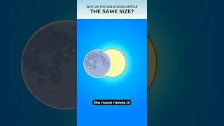Are the Sun and Moon the same size? 🌞🌚