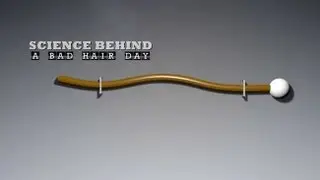 The Science Behind Bad Hair Days
